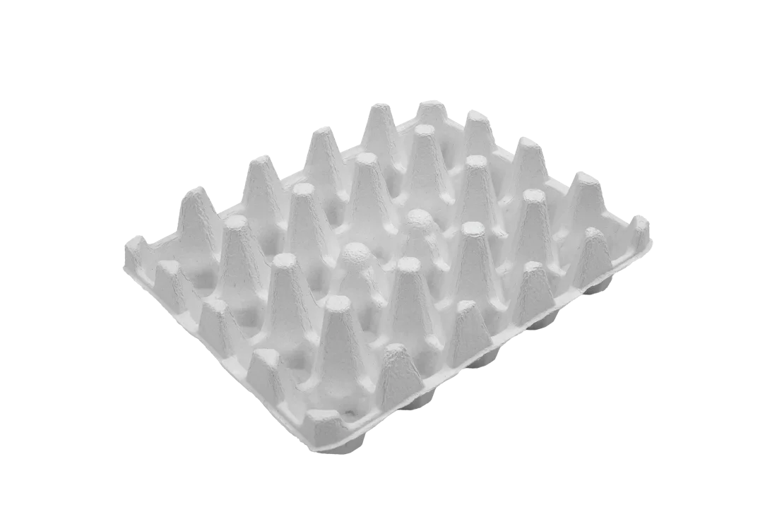 20-count thermoformed tray