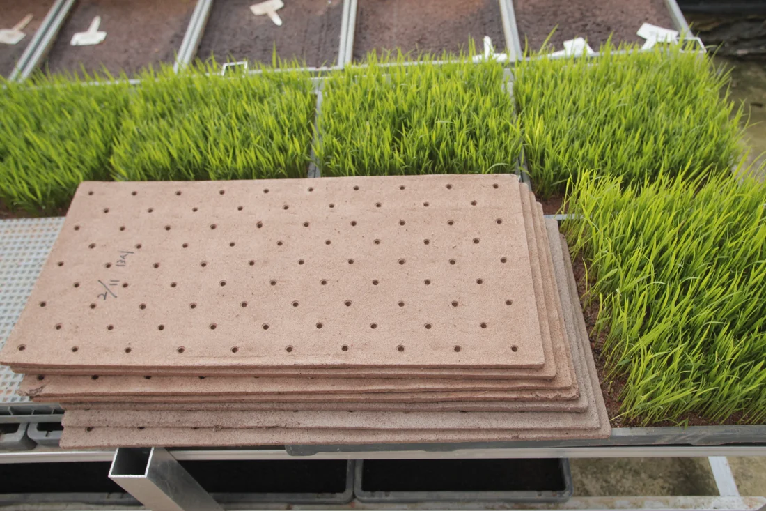 Topsoil mat