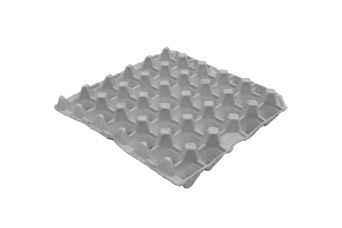 25-count XL egg tray