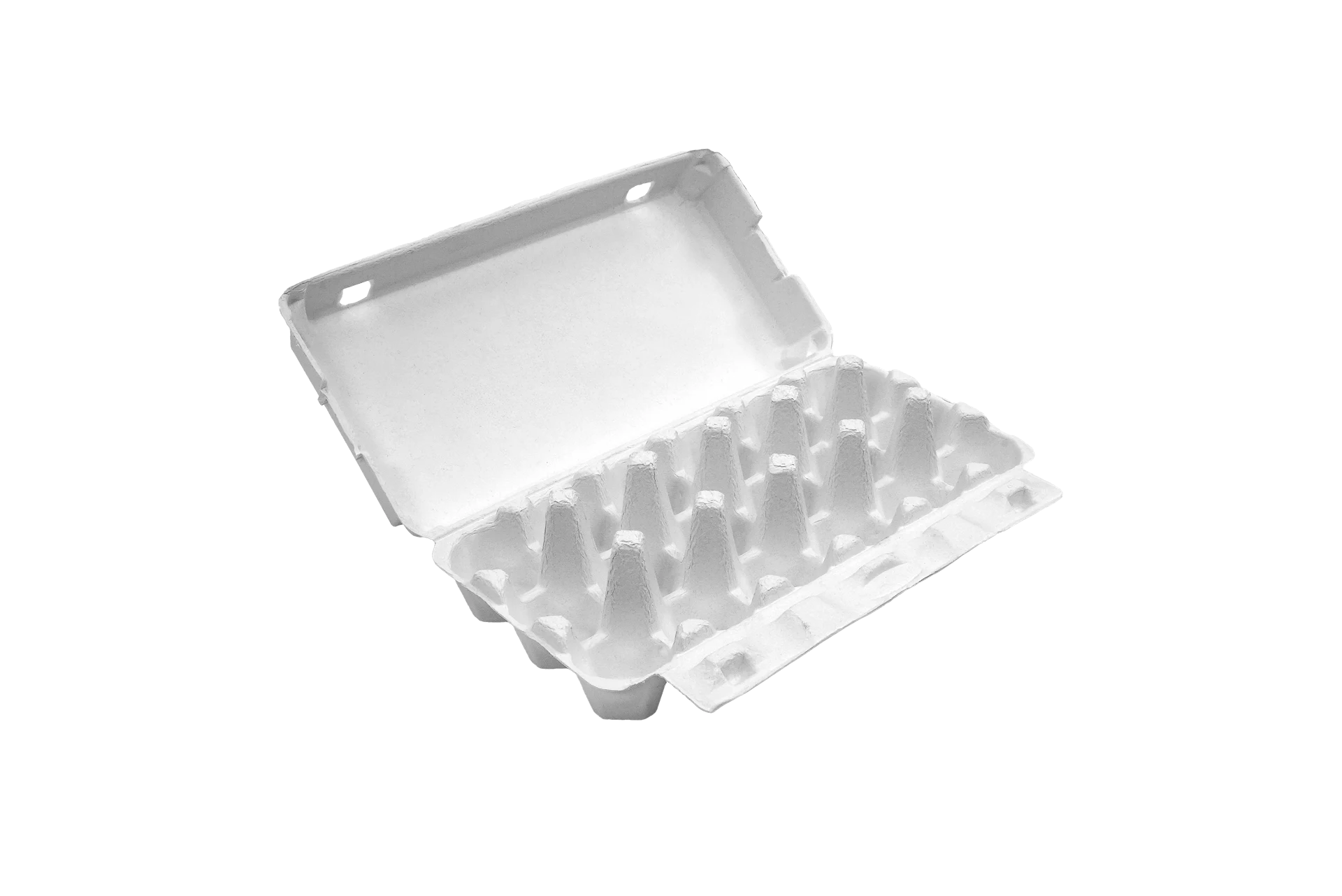 Open thermoformed PN Greentec retail egg carton