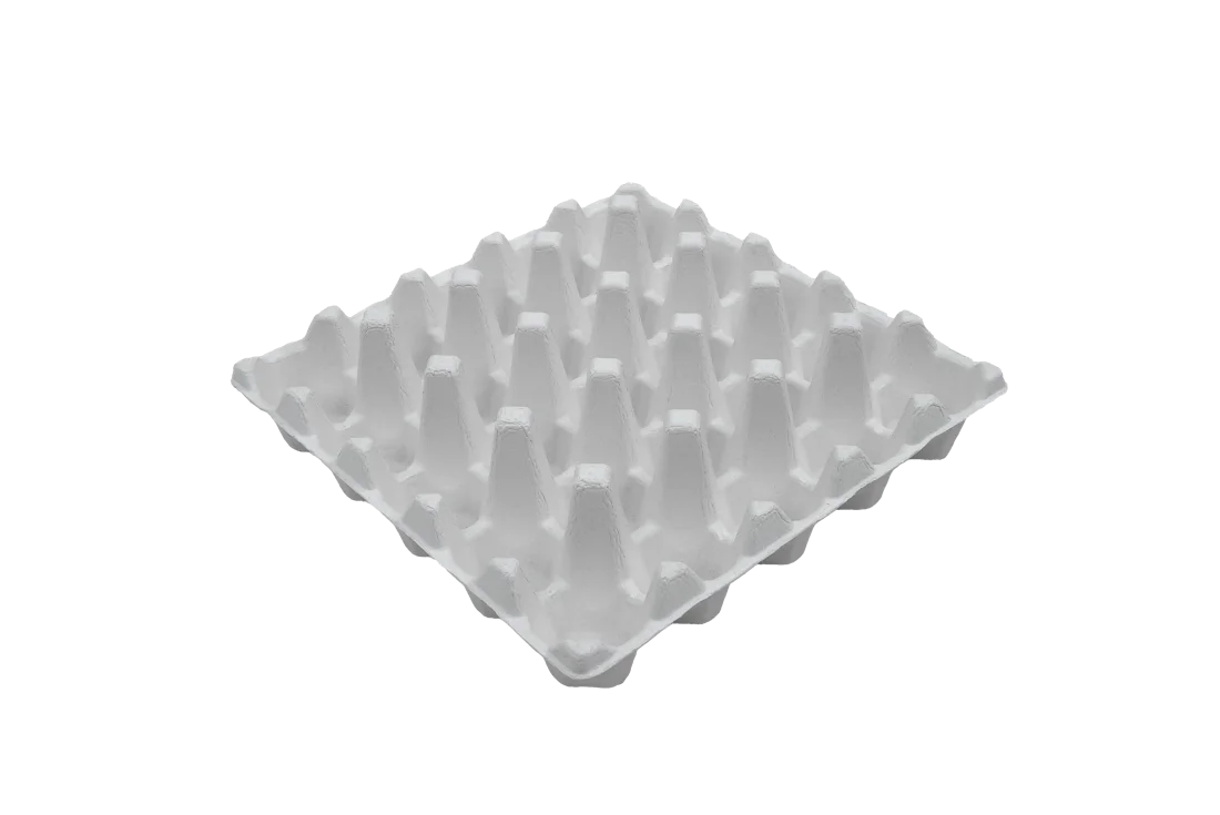 25-count thermoformed tray