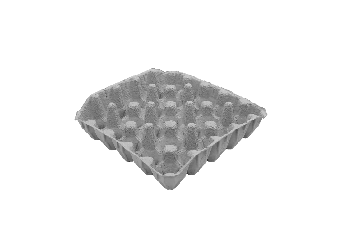 25-count high-wall retail tray